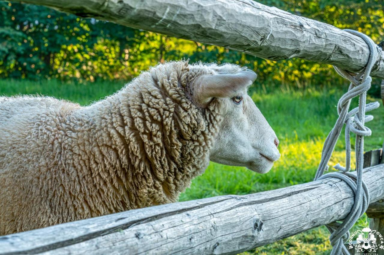 Agroturystyka Corno Owca Zabnica Экстерьер фото